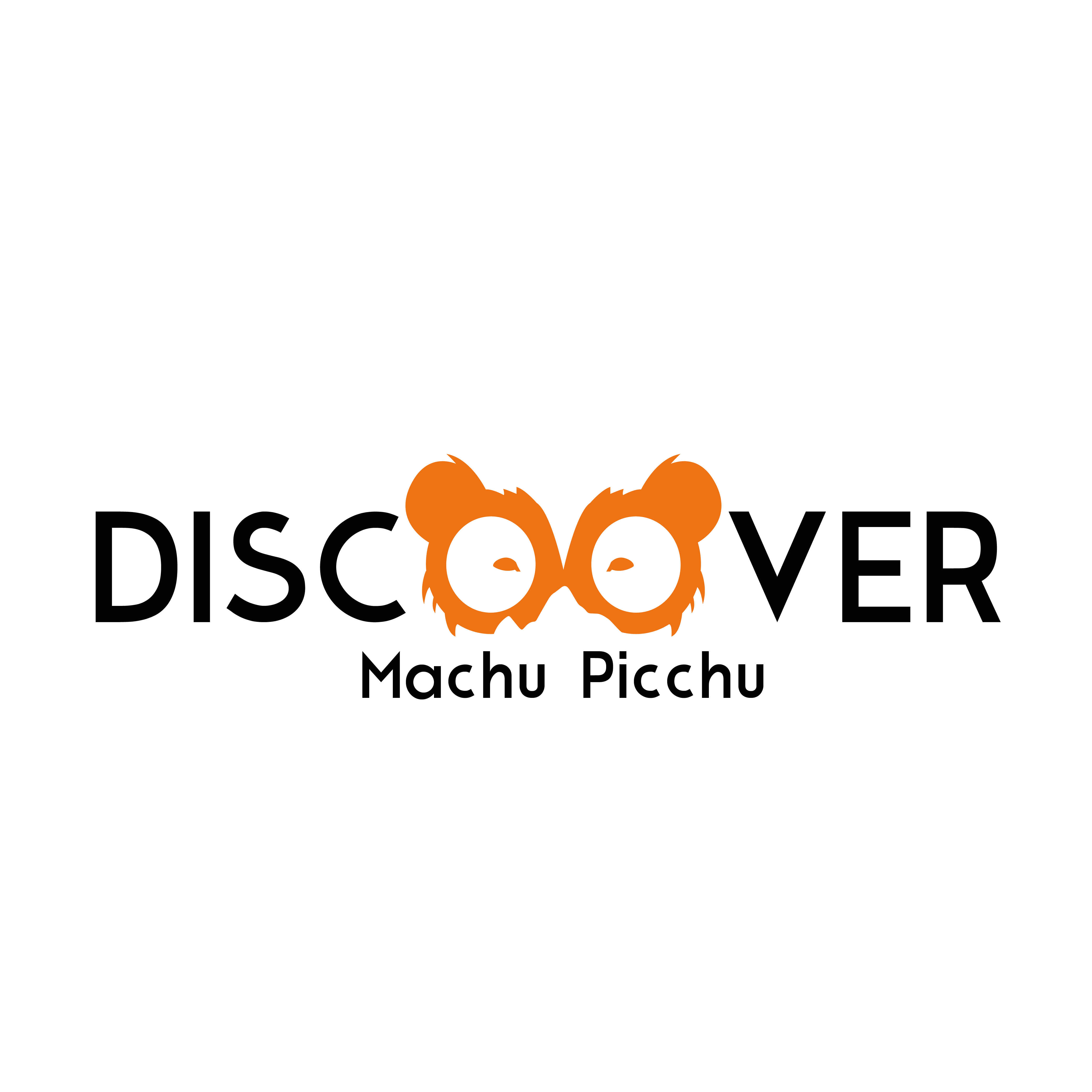 light logo